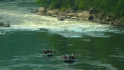 PICTURES/New River Gorge Scenic Drive/t_Rafters on New River1.JPG